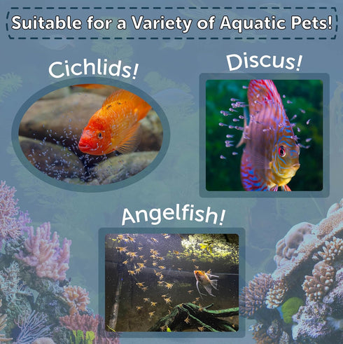Aquatic Foods Inc. 90% 400 Brine Shrimp Artemia Eggs, Premium Grade Hatch Rate from The Great Salt Lake, Utah, USA.