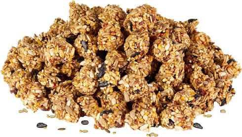 Chinchillas, 4.5 oz Kaytee Granola Bites with Superfoods Cranberry, Apple and Flax for Rats, Mice, Hamsters, Gerbils