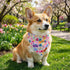 Summer ADOGGYGO Floral Dog Bandana, Colorful Floral Puppy Scarf Bib, Premium Fabric, Spring Flower Bandana for Small