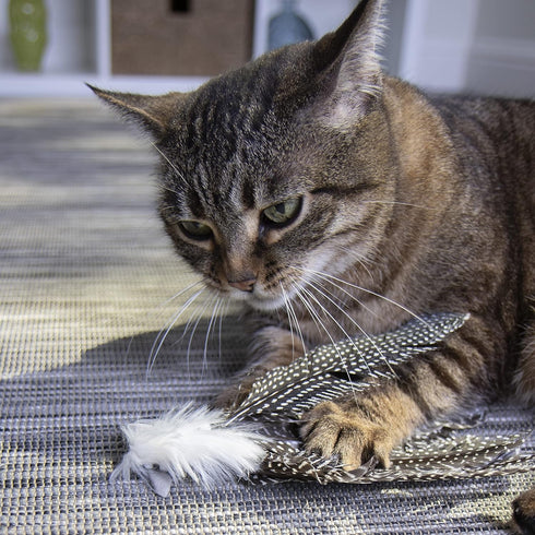 Petlinks HappyNip Zippy Zebra Feather Cat Toy, Contains Silvervine & Catnip, Black/White, One Size