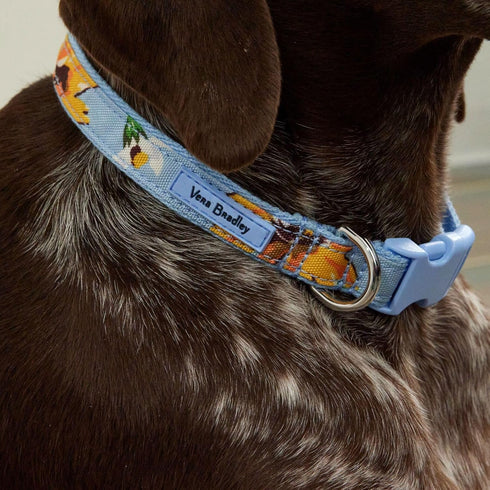 Vera Bradley Women's Recycled Lighten Up Water-repellent Adjustable Pet Collar, Sunflower Sky, Medium