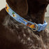 Vera Bradley Women's Recycled Lighten Up Water-repellent Adjustable Pet Collar, Sunflower Sky, Medium
