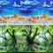 Beach Fish Aquarium Background Poster for 10-20 Gallon Tank, Double Sided Fish Tank Stickers