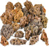 kecilke Natural Aquarium Rocks, 2-6 inches Dragon Stone for Aquariums and Tank Decoration, 10LB