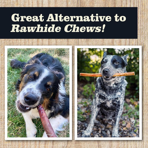 Redbarn All Natural 8-12” Bully Sticks for Medium & Large Dogs - Healthy Long Lasting Chews Variety Party Pack