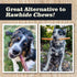 Redbarn All Natural 8-12” Bully Sticks for Medium & Large Dogs - Healthy Long Lasting Chews Variety Party Pack