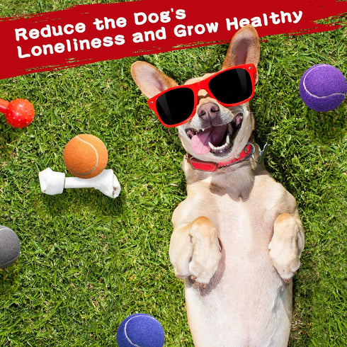 30 Pieces Dog Tennis Balls, Pet Tennis Ball Dog Balls for Training, Mini Tennis Ball Cat Toy for Large Medium Small Dogs