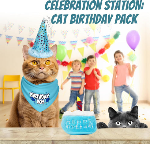 Cat Birthday Boy Party Pack, Bandana, Star Spangled Blue Party Hat, Catnip Birthday Cake Toy