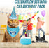 Cat Birthday Boy Party Pack, Bandana, Star Spangled Blue Party Hat, Catnip Birthday Cake Toy