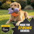 Bite Force - Durable & Strong Dog Toy Purple Dino with Squeaker, Kevlar-Reinforced for Aggressive chewers.
