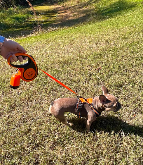 Funny Fur Grace Neon Orange 3-in-1 Comfort Fit Adventure Dog Walking Set: Adjustable Harness, 16ft Leash, Pup Bags