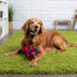 Durable Red Dino Frills Squeaky Dog Toy - Small Size