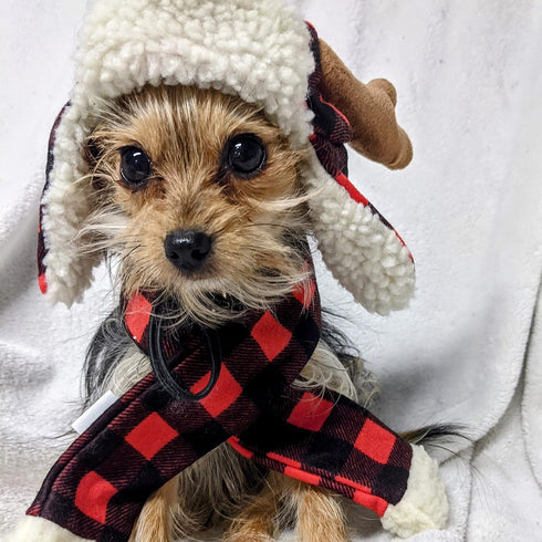 Huxley & Kent Pet Scarf - Buffalo Check (Large) - Festive Holiday Accessory for Dogs/Cats