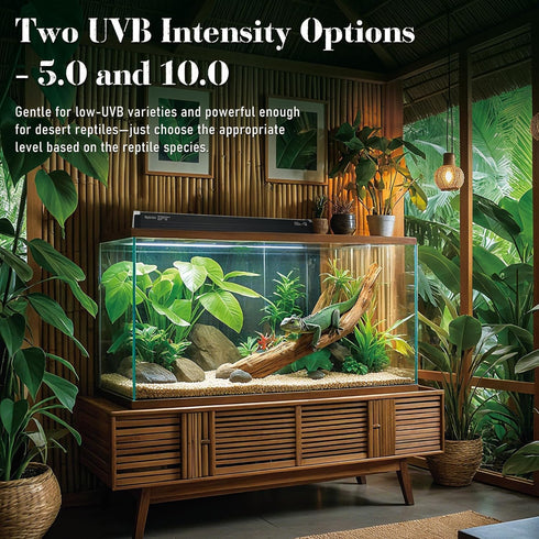 4W T5 6.5" 10.0 Reptile HO UVB Light Fixture with Tube, Dedicated UVB Spot Hood for Terrariums, Suitable for Desert