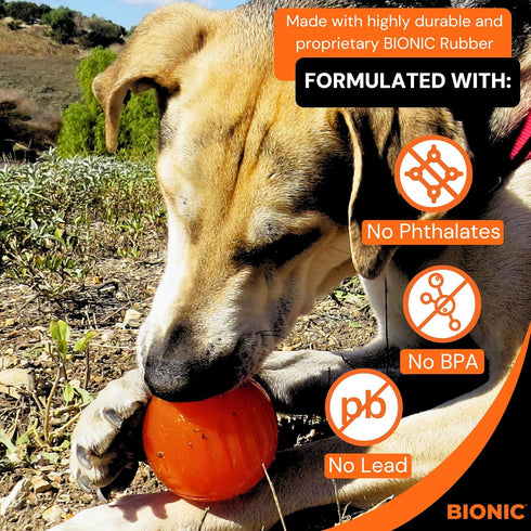 BIONIC Ball Dog Toy - Large Interactive Chew Toy for Tough Chewers, for Dogs 30-60+ lbs (13-27+ kg)