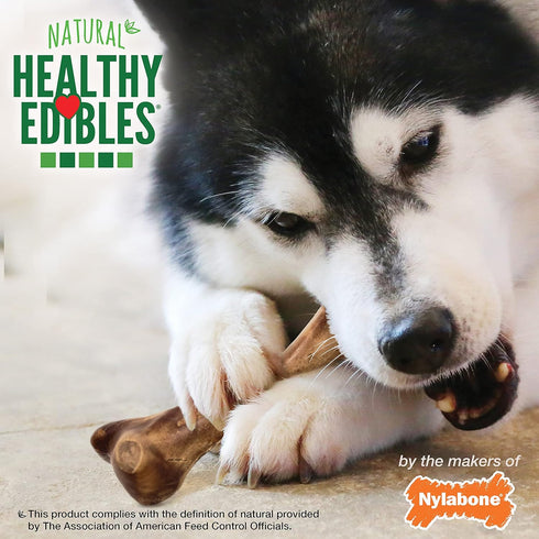 Nylabone Healthy Edibles Natural Venison Flavor Dog Chew Treats, Large/Giant (1 Count)