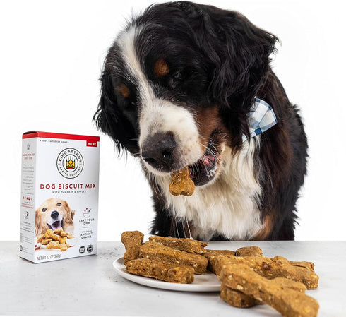 Dog Biscuit Mix, Pumpkin & Apple, Homemade Dog Treats, 12oz by King Arthur Baking Company