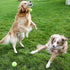 Dog Tennis Balls - 12 Pack Squeaky Interactive Toys for Training, Indoor Outdoor Play, 2.5" Rubber Balls for All Sizes