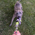 Chelsy's Toys Interactive Tug Toy for Dogs and Puppies, Mental Stimulation Toy, Slow-Play, Brain Exercise for Puppies