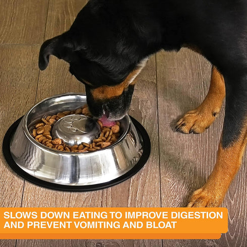 Neater Pet Brands Stainless Steel Slow Feed Bowl, Non-Tip & Non-Skid for Dog Food Gulping and Indigestion