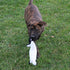 SPOT Skinneeez Stuffing Free Arctic Animal Dog Toy - Squeaker in Head and Tail, Great for Moderate Chewers