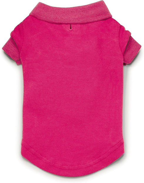 Zack & Zoey Cotton Polo Shirt for Dogs, Raspberry Sorbet, 8" X-Small