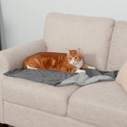Furhaven Waterproof Throw Blanket for Dogs & Indoor Cats, Washable Two-Tone Luxe Velvet Blanket, Granite Gray, Small