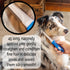 Dog Comb Set for Detangling and Grooming, Suitable for Dogs, Cats, and Small Animals