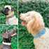 Tuff Pupper Classic Heavy Duty Dog Collar, 10x Stronger Than Leather, Waterproof & Odor Proof, Large (19-23" Neck)