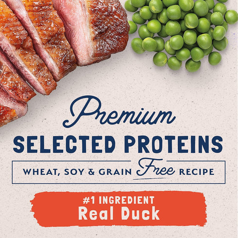 Natural Balance Limited Ingredient Adult Grain-Free Dry Cat Food, Reserve Duck & Green Pea Recipe, 10 lb (Pack of 1)
