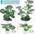 MyLifeUNIT 10 Pack Silk Aquarium Plants for Betta Fish Tank Decor