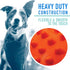 Set Franklin Pet Supply Co. Ready Fetch All Weather Ball - Launcher Ball - Slobber and Water Resistant,Orange
