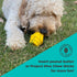 Hive Chew Toy for Small Dogs - Durable and Tough Dog Chew Toy for Puppies and Small Breeds - Floats in Water
