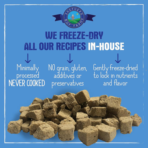 Freeze Dried Dog Food, Fish Medley Recipe, All Natural Raw Dog Food, 14oz Bag, Made in USA