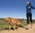 HALTI Active Leash - Award-Winning Bungee Dog Leash, Shock-Absorbing, Neoprene Padded Belt & Lead for Medium & Large