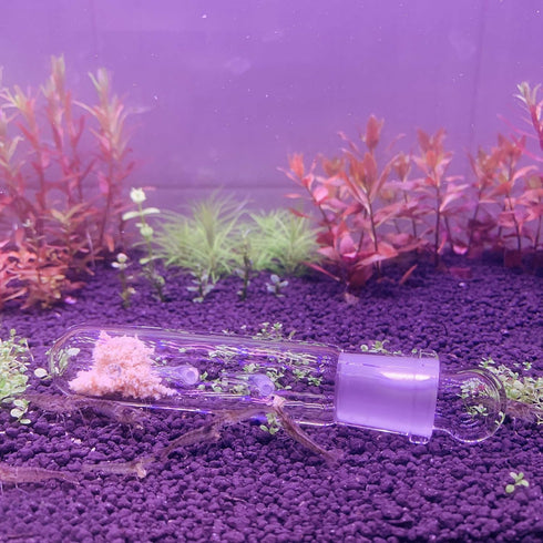 2 Pack 3 Holes Planaria Trap for Aquarium, Bristle Worm Catcher Snail Trap for Fish Tank Leeches Catcher