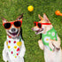 Weewooday 8 Pieces Dog Bandanas, Summer Flower Print Triangle Bibs Floral Puppy Scarf Accessories for Dogs Cats