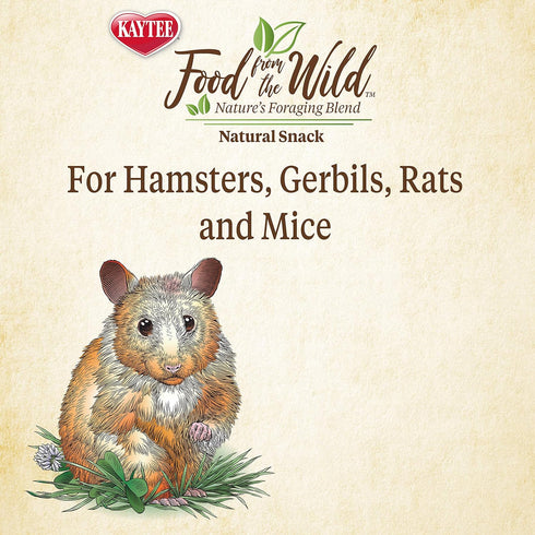 Kaytee Food from The Wild Natural Snack for Pet Hamsters, Gerbils, Rats, and Mice, 2 Ounces