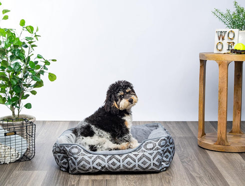 Modern Threads Luxury Dog Bed - Oxford Printed Plush Cuddler for Small to Medium Dogs, Machine Washable, Anza, Grey