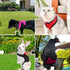 Magnoloran 3 Pack Set Chicken Harness and Leash Adjustable Hen Vest with Matching Belt Breathable Mesh Training Harness