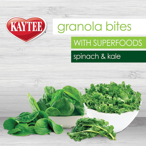 Kaytee Granola Bites with Super Foods Spinach and Kale for Pet Birds, 4.50 Ounce (Pack of 1)