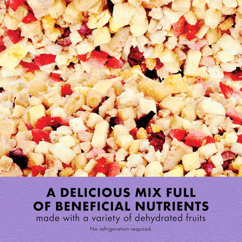 Zilla Reptile Food Munchies Fruit Mix, 2.5 Ounce, for Pet Iguanas, Skinks, Tegus, Box Turtles, Tortoises & Hermit Crabs