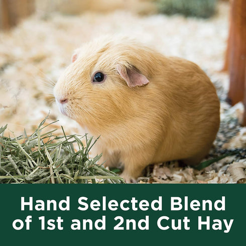 24 oz Kaytee Timothy Hay Plus Carrots for Pet Guinea Pigs, Rabbits & Other Small Animals