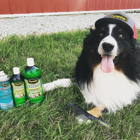 1 PYRANHA Essential Shampoo - Cleaning Refreshing Product for Horse, Dog, Cat & Show Animals with Coconut & Argan Oil