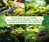 Generic Pack 2 Live Moss Duo Varieties Mixed Moss for Reptile Terrariums, Amphibian Habitats, Bonsai, Vivariums