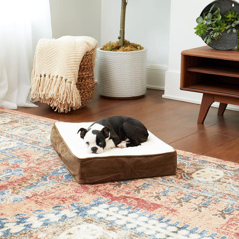 South Pine Porch Ollie Orthopedic Rectangle Foam Dog Bed, Extra Small (24" x 18"), Latte