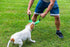 K9 Dog Bite Tug Toy - Durable French Linen with 2 Strong Handles, Perfect for Tug of War & Puppy Training, Medium to