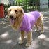 lovelonglong Basic Dog Polo Shirts, Premium Cotton Polo T-Shirts for Large Medium Small Dogs, Two-Button Collar, Violet