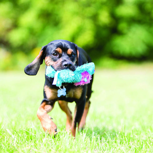 Cozie KONG Ali Alligator Dog Toy, Small