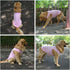2018 Pet Clothes Dog Blank T-Shirt Tanks for Small Medium Large Dogs, 100% Cotton Summer Vest (M, Pink)